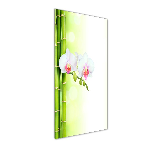 Cuadro de vidrio templado 4mm para pared vertical Orquídea y bambú