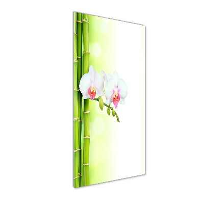 Cuadro de vidrio templado 4mm para pared vertical Orquídea y bambú