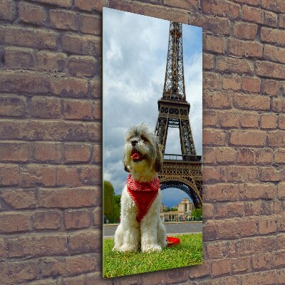 Cuadro de cristal moderno efecto brillo vertical Un perro en París