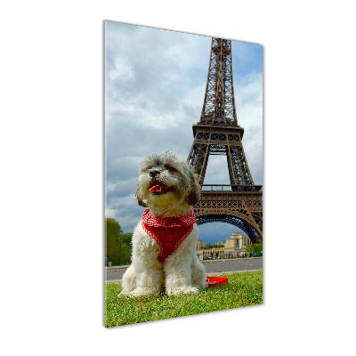 Cuadro de cristal moderno efecto brillo vertical Un perro en París