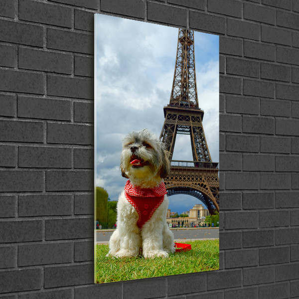 Cuadro de cristal moderno efecto brillo vertical Un perro en París