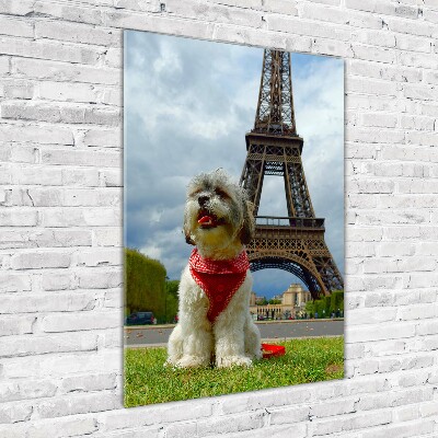 Cuadro de cristal moderno efecto brillo vertical Un perro en París