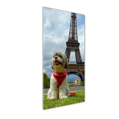 Cuadro de cristal moderno efecto brillo vertical Un perro en París