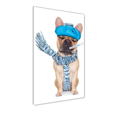 Fotocuadro de cristal elegante para hogar vertical perro enfermo