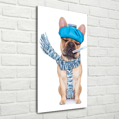 Fotocuadro de cristal elegante para hogar vertical perro enfermo