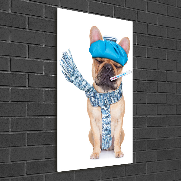 Fotocuadro de cristal elegante para hogar vertical perro enfermo