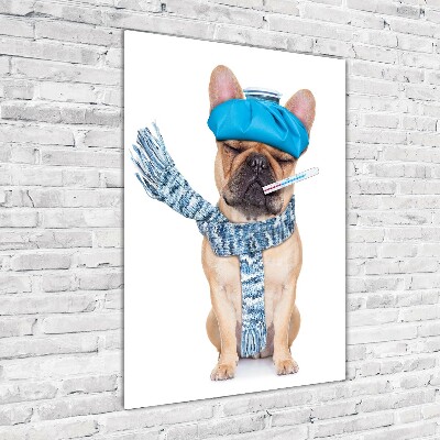 Fotocuadro de cristal elegante para hogar vertical perro enfermo