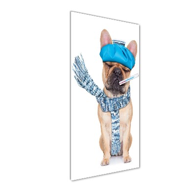 Fotocuadro de cristal elegante para hogar vertical perro enfermo