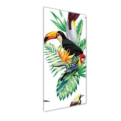 Cuadro de vidrio templado 4mm para pared vertical aves tropicales