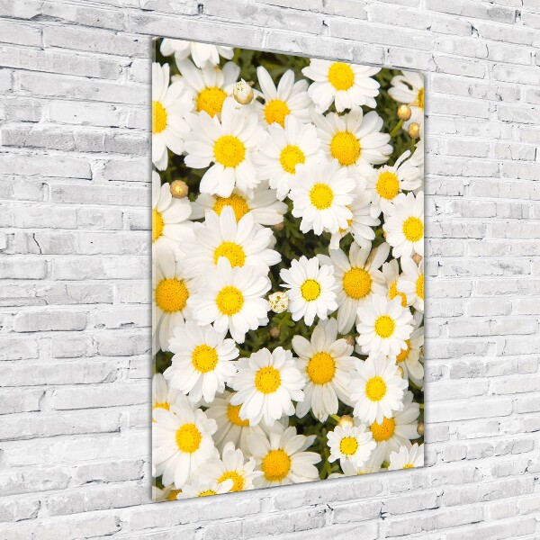 Cuadro de vidrio templado 4mm para pared vertical flores de margarita