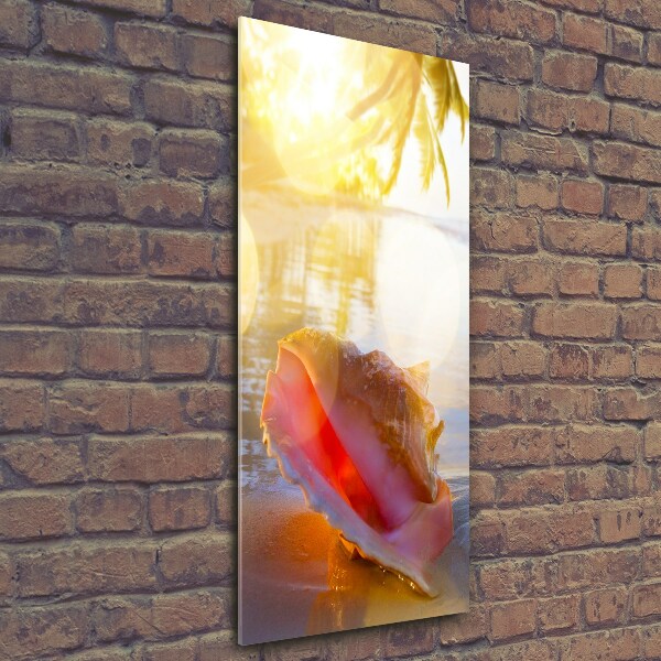 Cuadro de vidrio templado 4mm para pared vertical Una concha en la playa