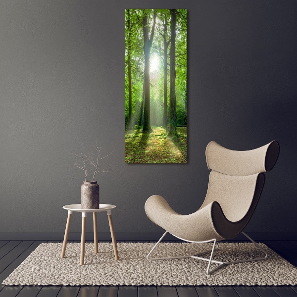 Cuadro decorativo en cristal con canto pulido vertical El sol en el bosque