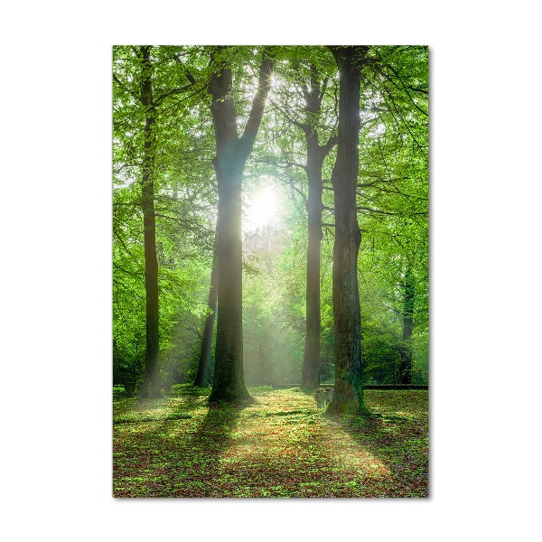 Cuadro decorativo en cristal con canto pulido vertical El sol en el bosque