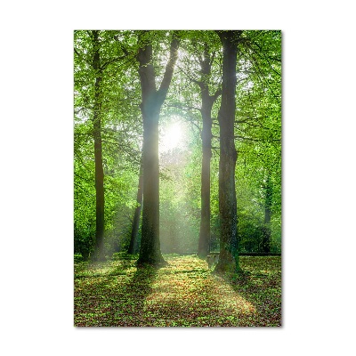 Cuadro decorativo en cristal con canto pulido vertical El sol en el bosque