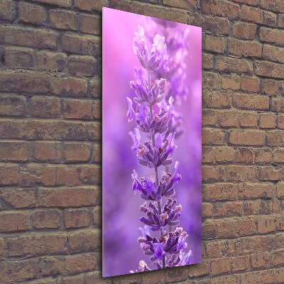 Cuadro de vidrio templado 4mm para pared vertical campo de lavanda