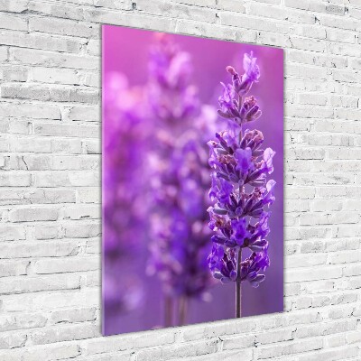 Cuadro de vidrio templado 4mm para pared vertical campo de lavanda