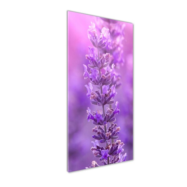 Cuadro de vidrio templado 4mm para pared vertical campo de lavanda