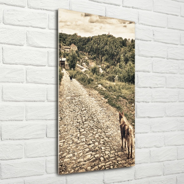 Fotocuadro de cristal elegante para hogar vertical Dos perros de la colina