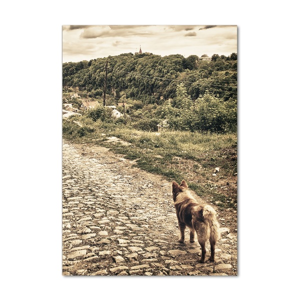 Fotocuadro de cristal elegante para hogar vertical Dos perros de la colina