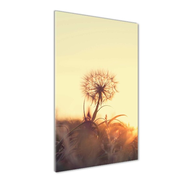 Cuadro de cristal moderno efecto brillo vertical Diente de león