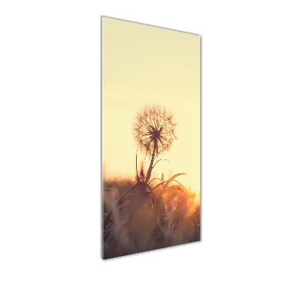 Cuadro de cristal moderno efecto brillo vertical Diente de león
