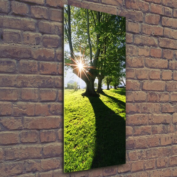 Cuadro de cristal moderno efecto brillo vertical Parque