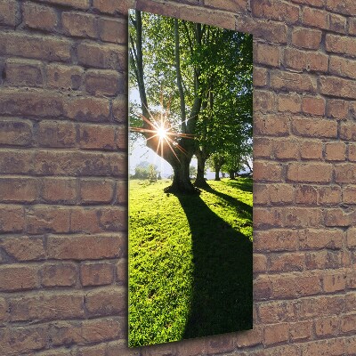 Cuadro de cristal moderno efecto brillo vertical Parque