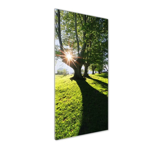 Cuadro de cristal moderno efecto brillo vertical Parque
