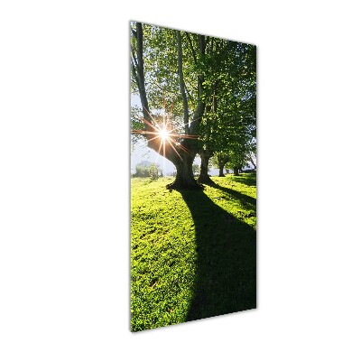 Cuadro de cristal moderno efecto brillo vertical Parque