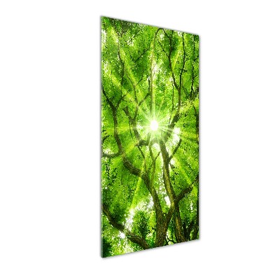 Cuadro de vidrio templado 4mm para pared vertical Corona del árbol