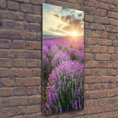 Cuadro de cristal moderno efecto brillo vertical campo de lavanda