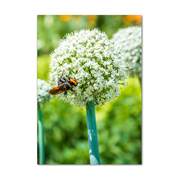 Fotocuadro de cristal elegante para hogar vertical flores de ajo