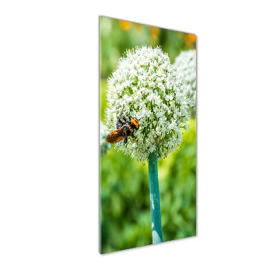 Fotocuadro de cristal elegante para hogar vertical flores de ajo