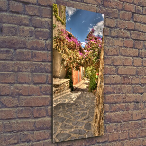 Cuadro de vidrio templado 4mm para pared vertical calles francesas