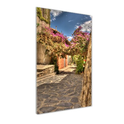 Cuadro de vidrio templado 4mm para pared vertical calles francesas