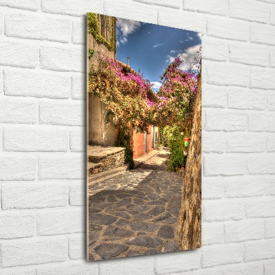 Cuadro de vidrio templado 4mm para pared vertical calles francesas