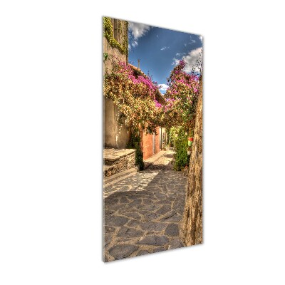 Cuadro de vidrio templado 4mm para pared vertical calles francesas