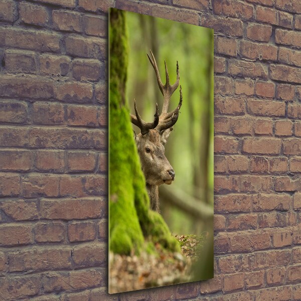 Cuadro de vidrio templado 4mm para pared vertical Ciervo