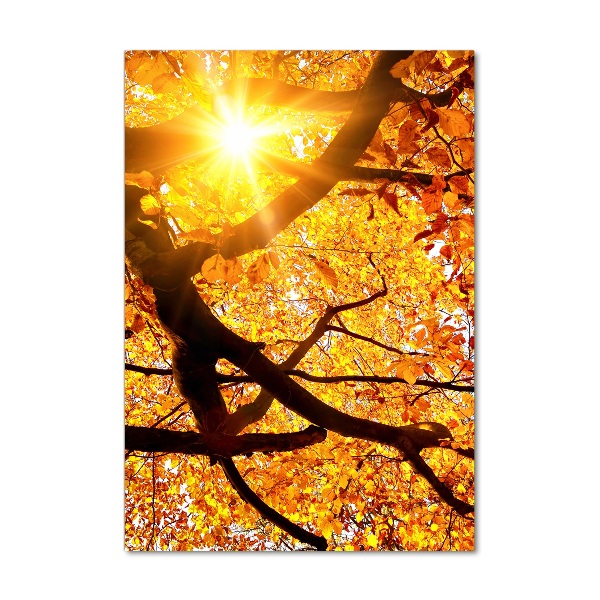 Fotocuadro de cristal elegante para hogar vertical Árbol de otoño