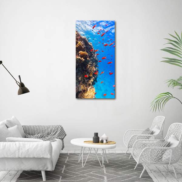 Fotocuadro de cristal elegante para hogar vertical Arrecife de coral
