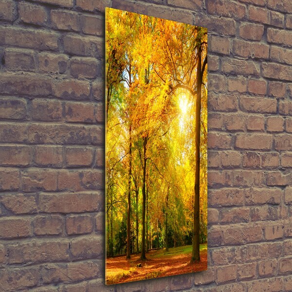 Cuadro de vidrio templado 4mm para pared vertical Bosque en otoño