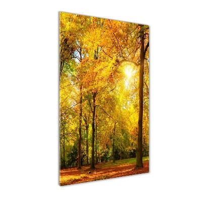 Cuadro de vidrio templado 4mm para pared vertical Bosque en otoño