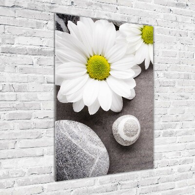 Foto-obraz zdjęcie na szkle pionowy Gerbera