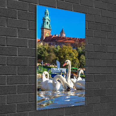 Cuadro decorativo en cristal con canto pulido vertical Cracovia, Polonia