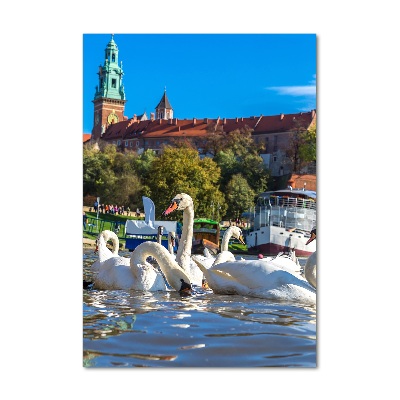 Cuadro decorativo en cristal con canto pulido vertical Cracovia, Polonia