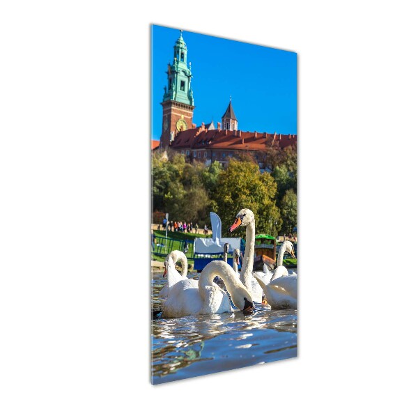Cuadro decorativo en cristal con canto pulido vertical Cracovia, Polonia
