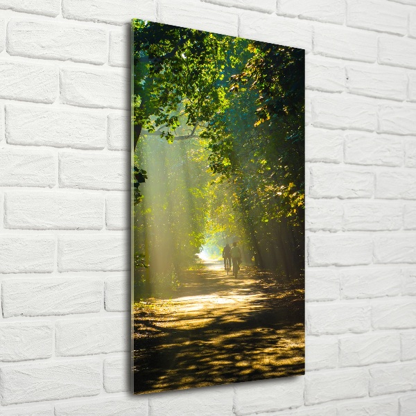 Cuadro de cristal moderno efecto brillo vertical Camino en el bosque