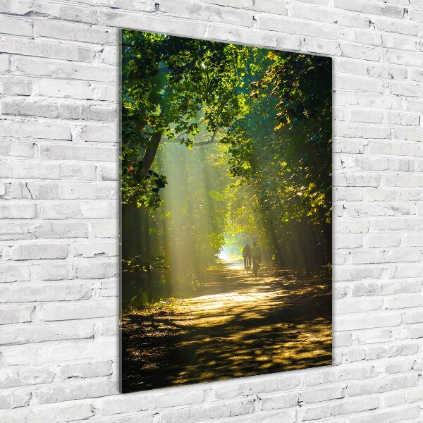 Cuadro de cristal moderno efecto brillo vertical Camino en el bosque