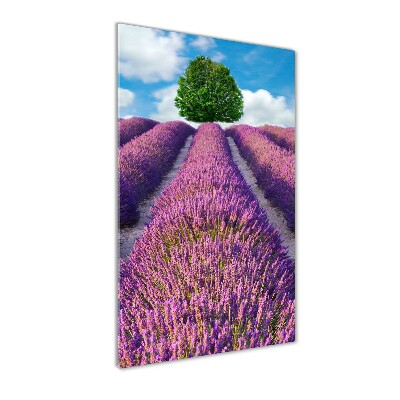 Cuadro de vidrio templado 4mm para pared vertical campo de lavanda