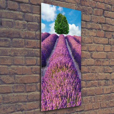 Cuadro de vidrio templado 4mm para pared vertical campo de lavanda